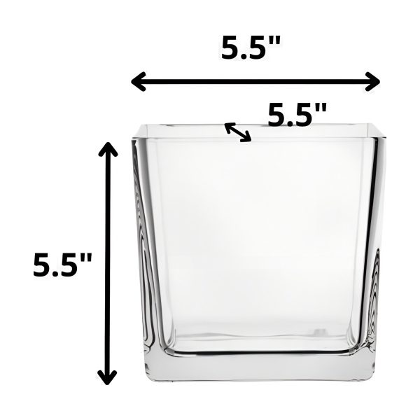 Claro - Florero de vidrio cuadrado tipo cubo, vidrio transparente
