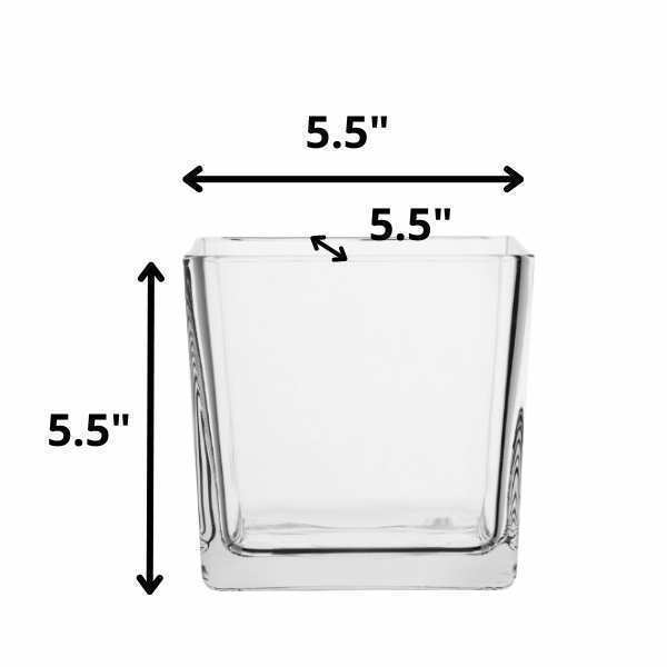 Clear - Square Cube Glass Vase, clear glass