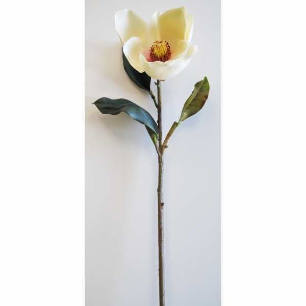Magnolia X 1, decorativo