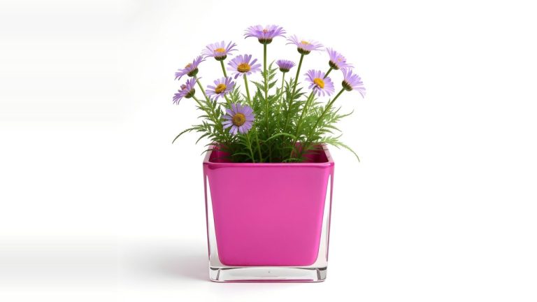 Square Cube Vase: Hot Pink Colour Collection Styling